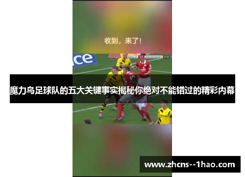 魔力鸟足球队的五大关键事实揭秘你绝对不能错过的精彩内幕