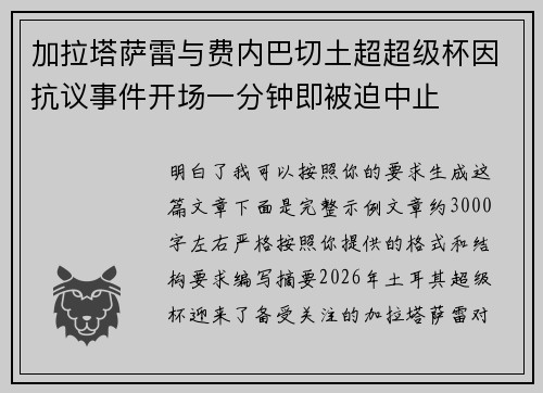 加拉塔萨雷与费内巴切土超超级杯因抗议事件开场一分钟即被迫中止 加拉塔萨雷与费内巴切土超超级杯因抗议事件开场一分钟即被迫中止